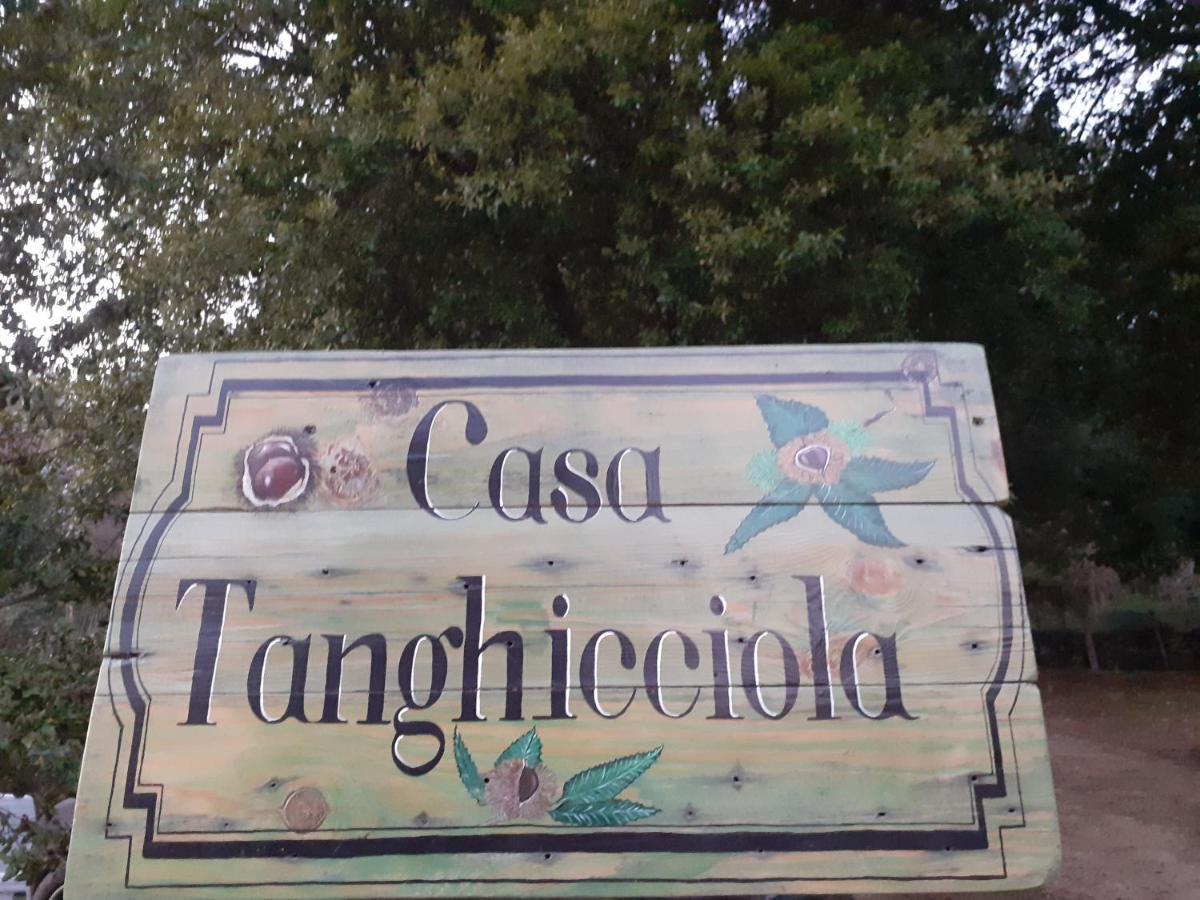 Ferienwohnung Casa Tanghicciola Levie Exterior foto